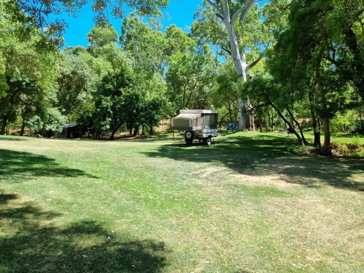 Belair National Park Holiday Park Exterior foto