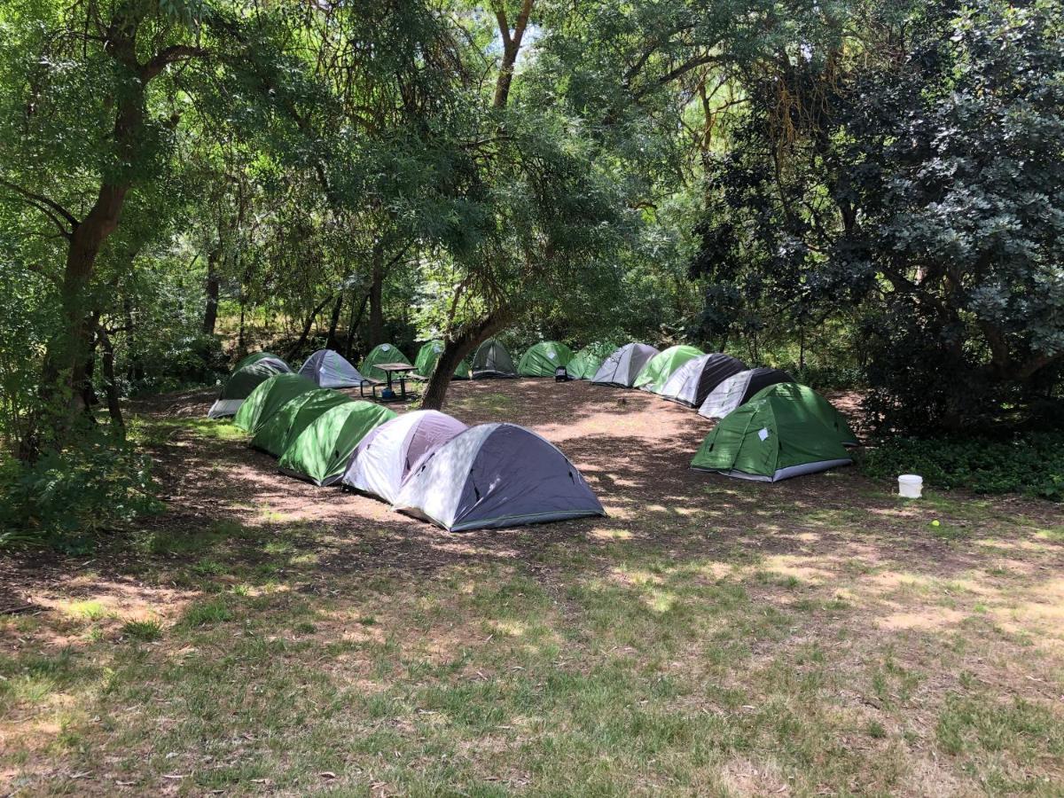 Belair National Park Holiday Park Exterior foto