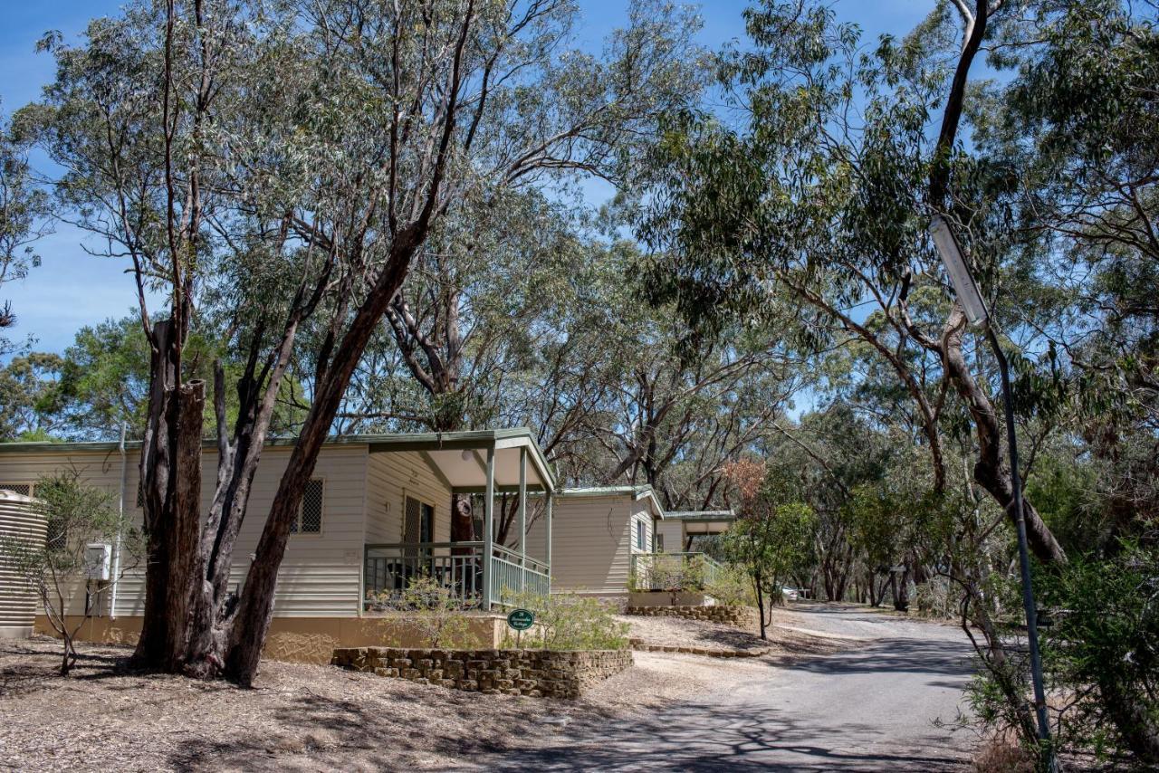 Belair National Park Holiday Park Exterior foto