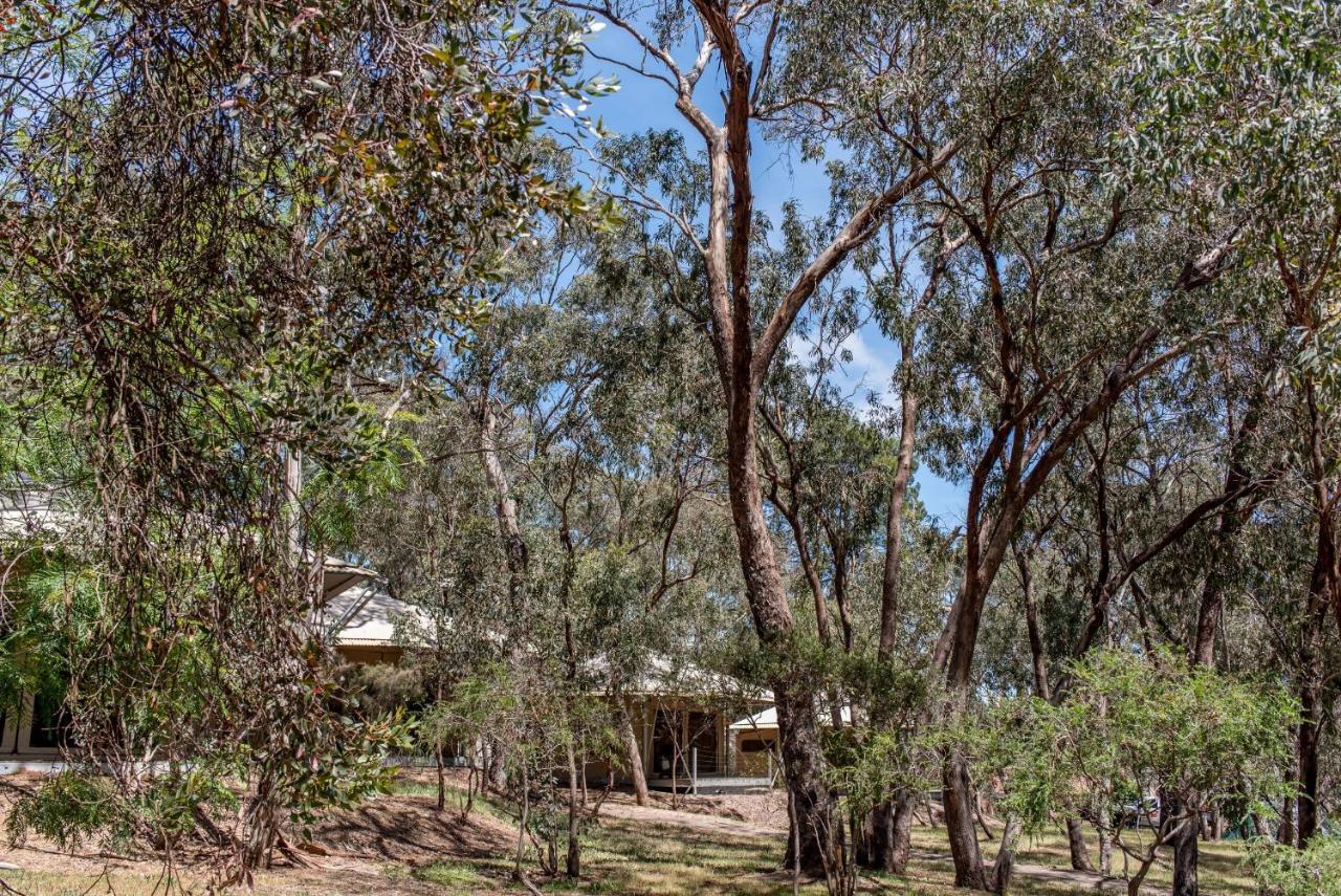 Belair National Park Holiday Park Exterior foto